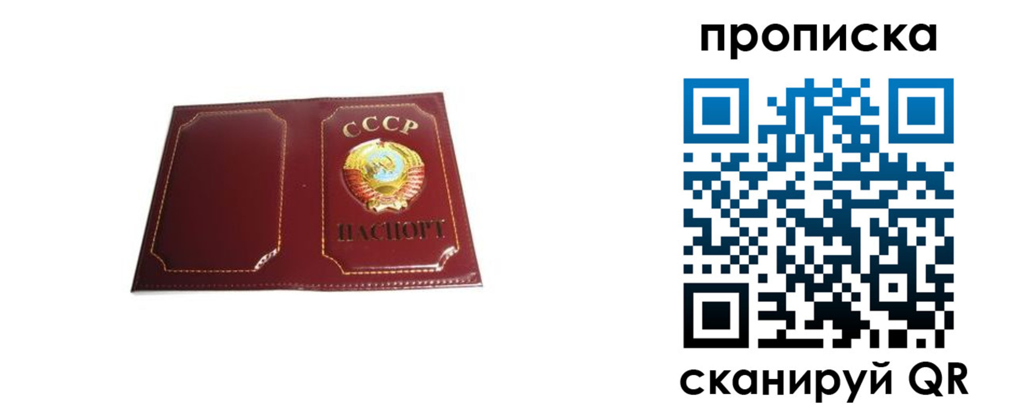 прописка гарантия в Лесосибирске